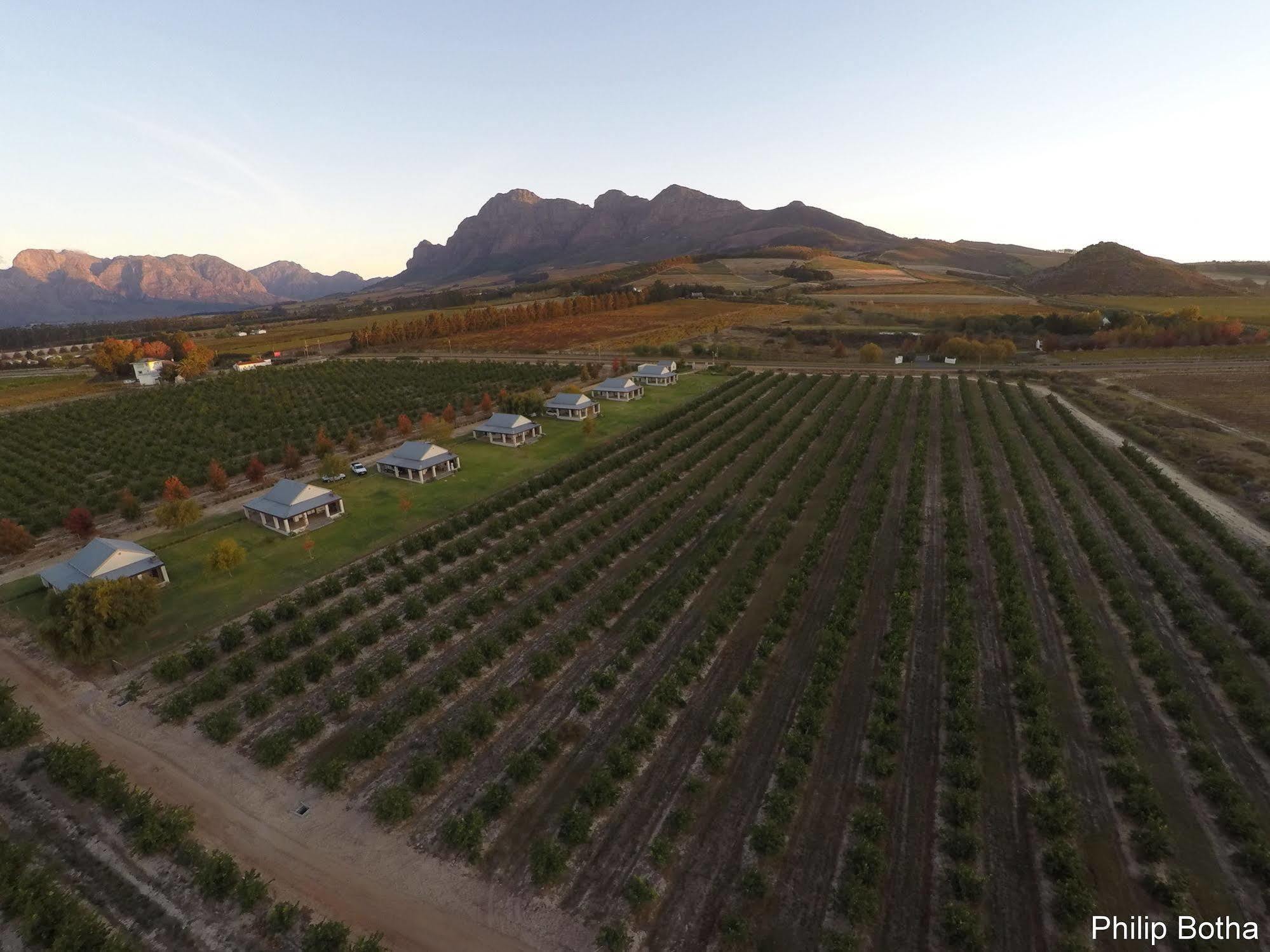 Paddabult Self Catering Cottages Paarl Exterior photo